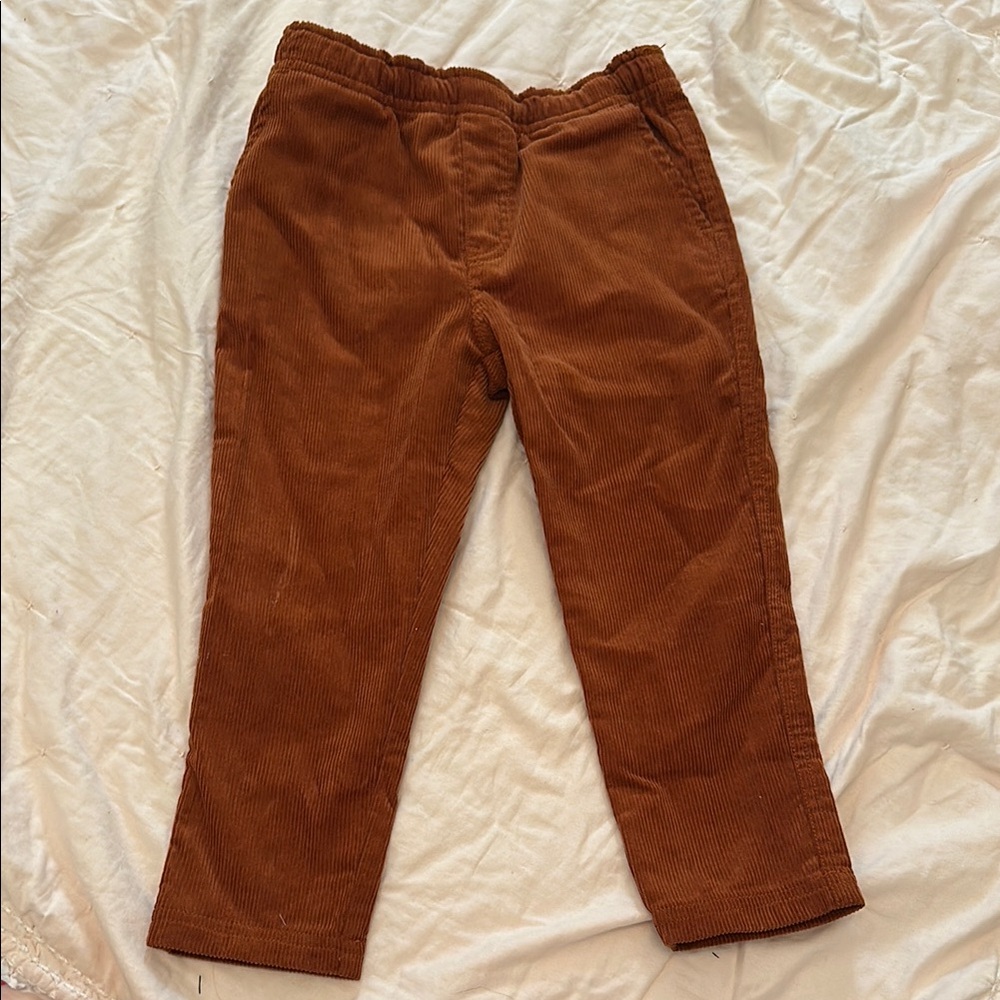 Tea Collection Orange Corduroy Casual Pants